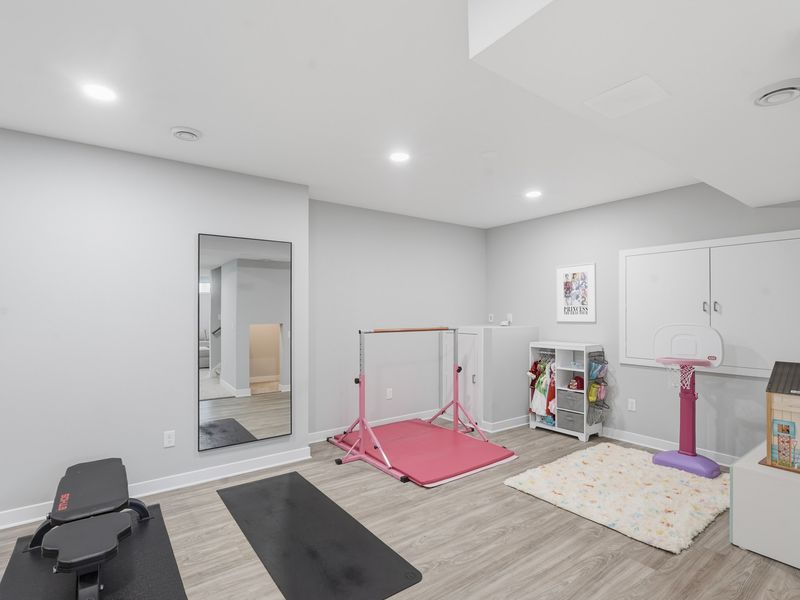 Basement Gym